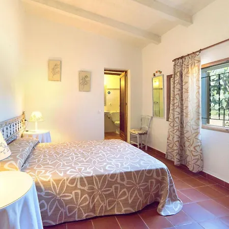 Moranta - Verd Pollenca