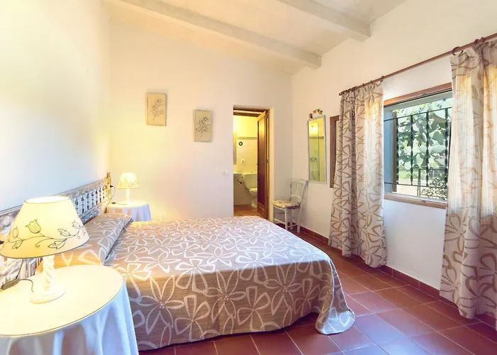 Villa Moranta - Verd *